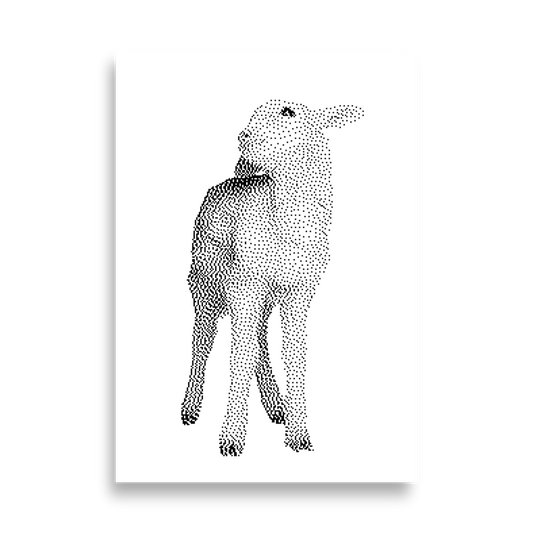 Lamb White Poster