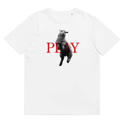 Play T-Shirt organic