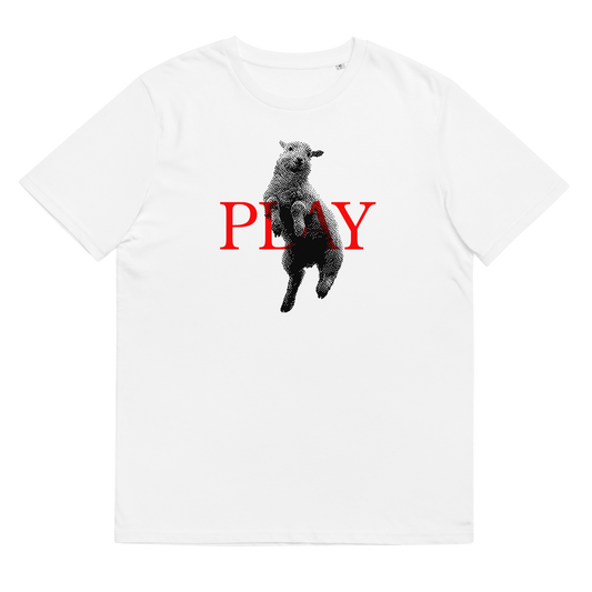 Play T-Shirt organic