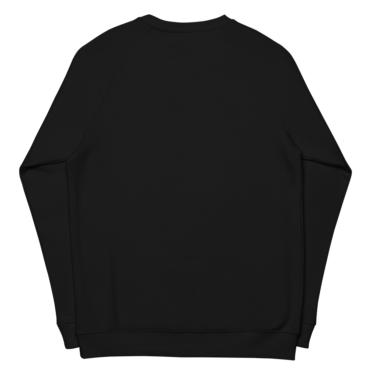 Lizard Raglan Sweater organic