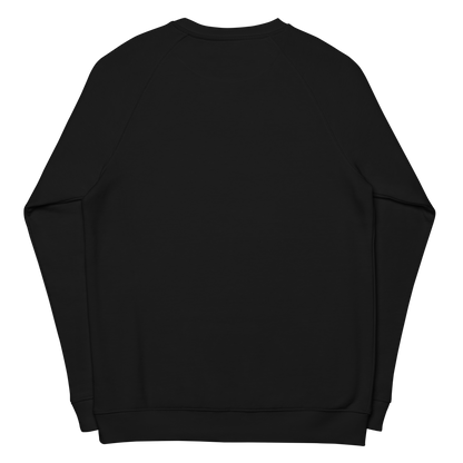 Lizard Raglan Sweater organic