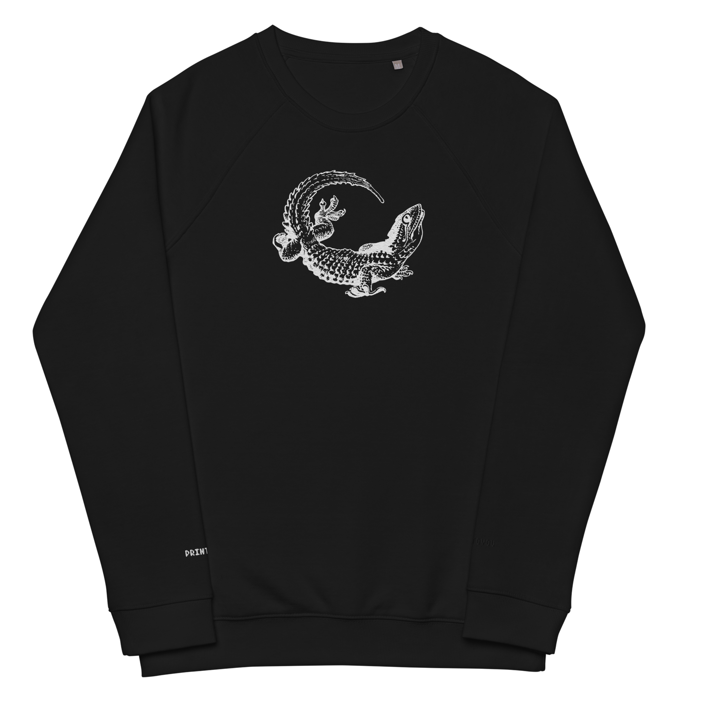 Lizard Raglan Sweater organic