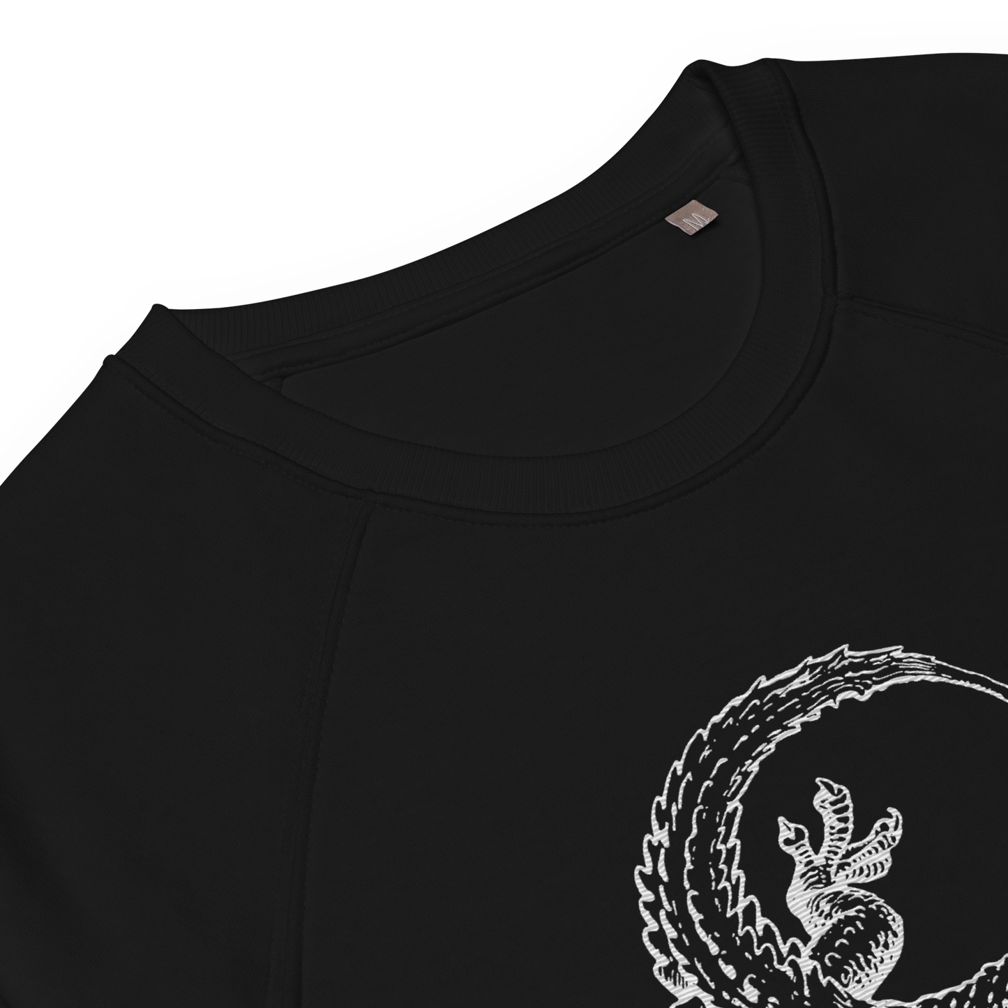 Lizard Raglan Sweater organic