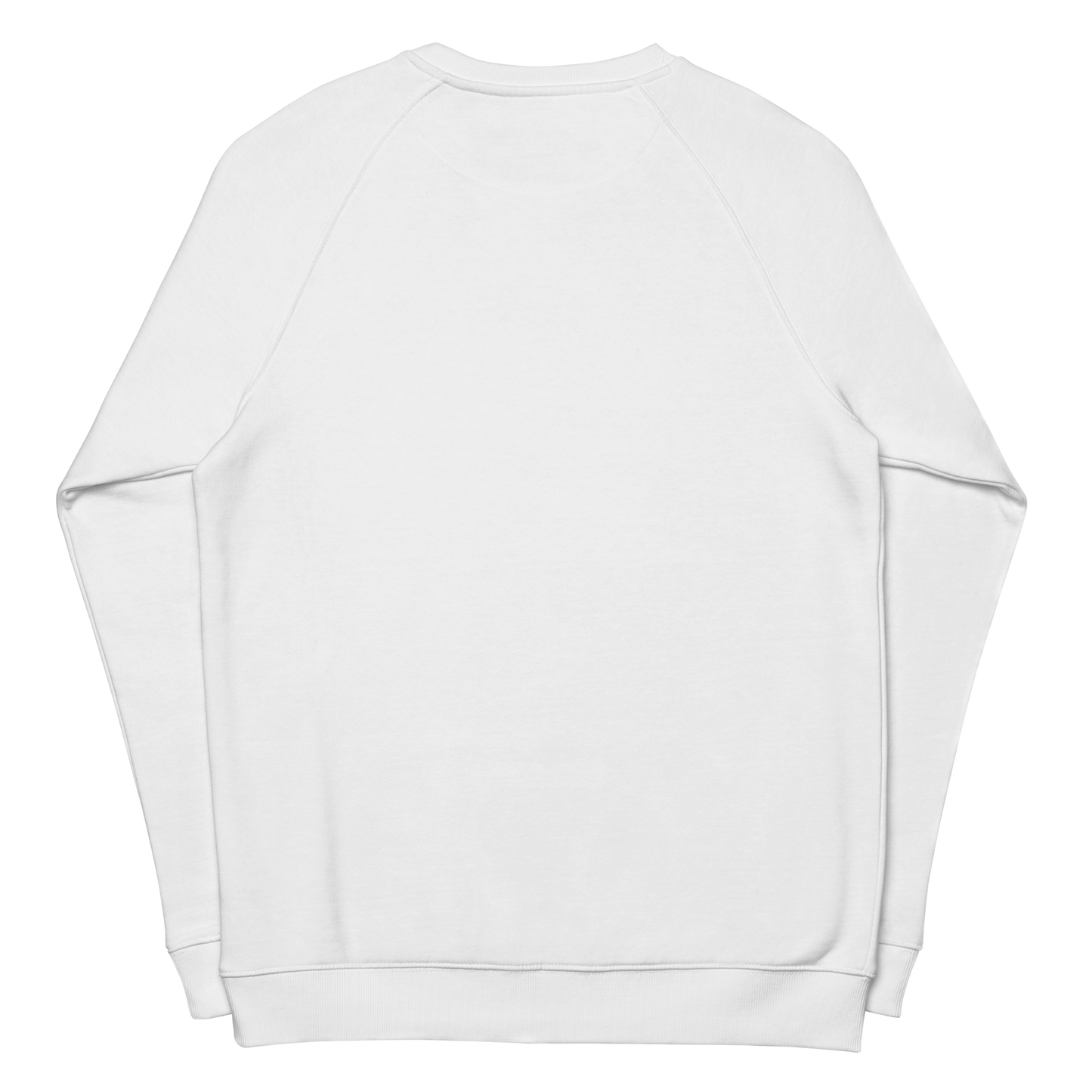 Lizard Raglan Sweater organic