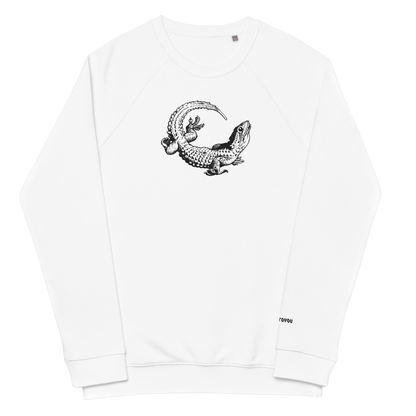 Lizard Raglan Sweater organic