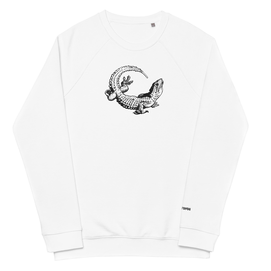 Lizard Raglan Sweater organic