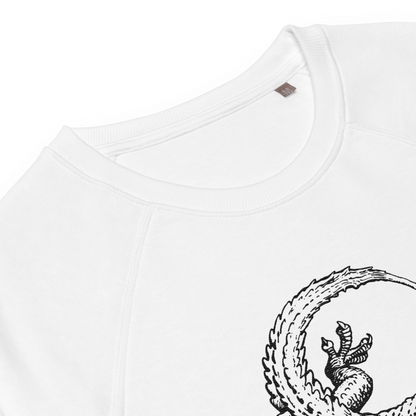 Lizard Raglan Sweater organic